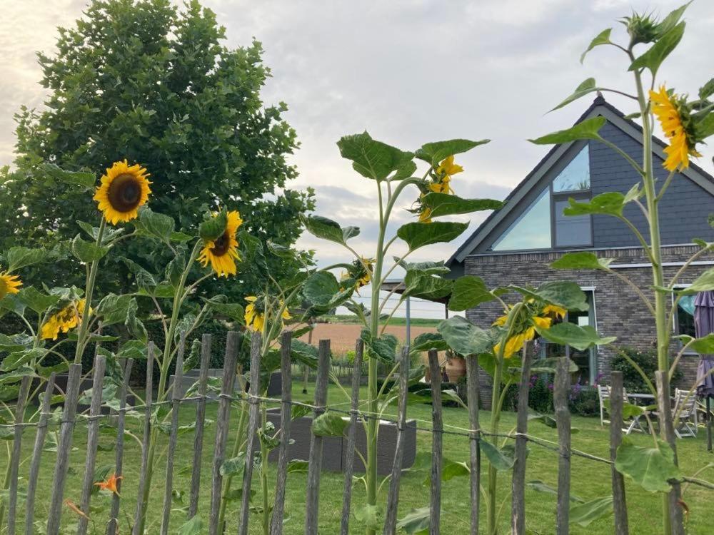 Gastenverblijf Chambre Damis - Geniet Van Haspengouw, Buiten En Binnen! Heers Exterior foto